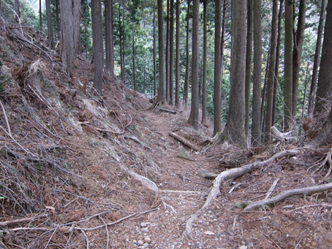 20190214hike (163)